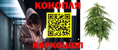 прущие крисы Будённовск