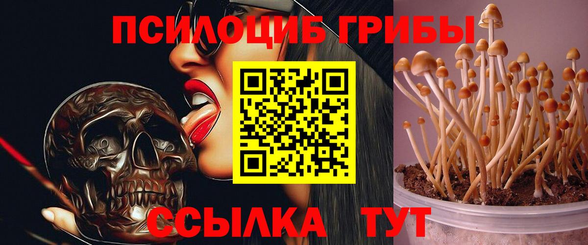 Галлюциногенные грибы Cubensis Нягань