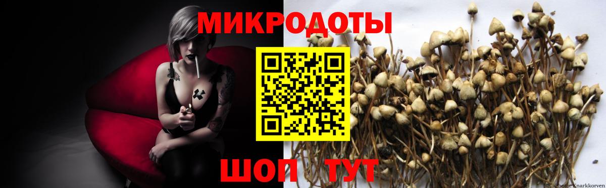 Нягань  Галлюциногенные грибы Cubensis  Вход с VPN 